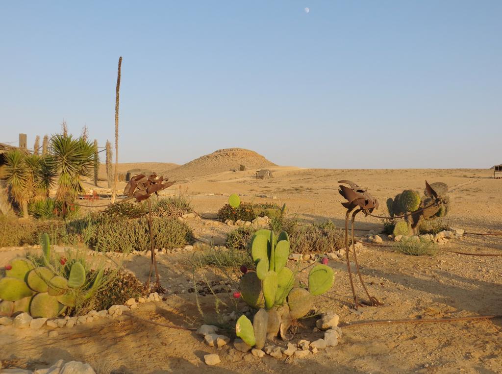 Succah In The Desert Micpe Ramon Zewnętrze zdjęcie