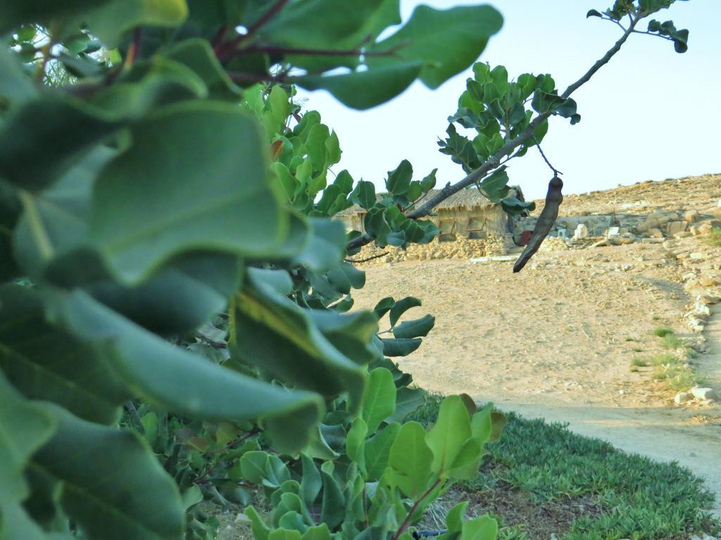 Succah In The Desert Micpe Ramon Zewnętrze zdjęcie