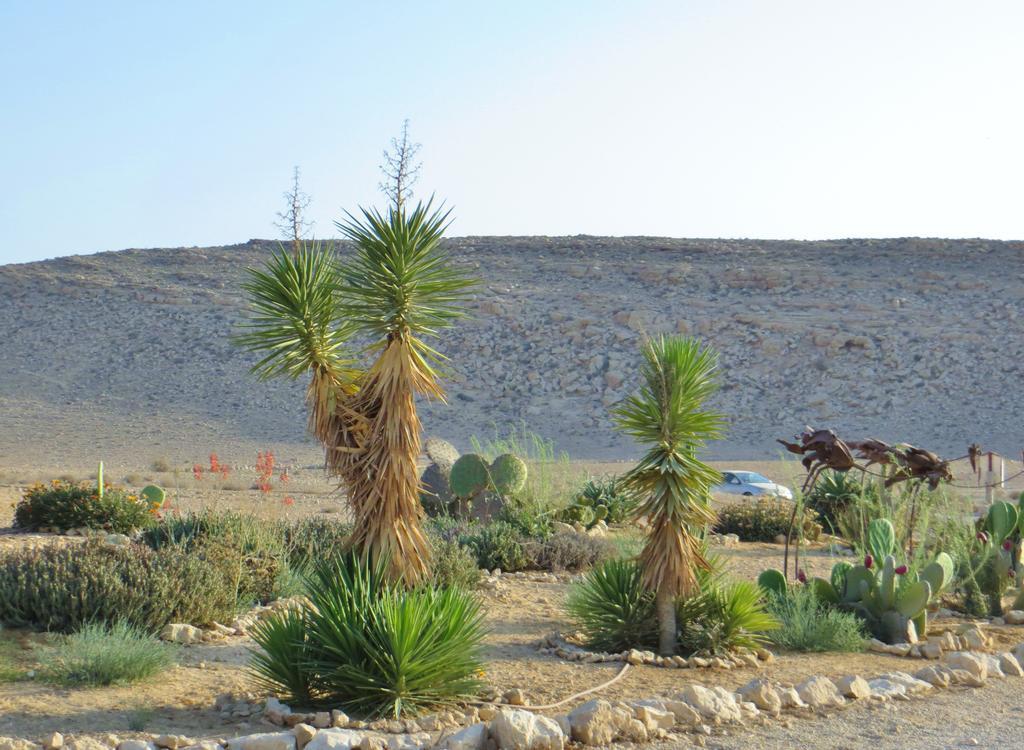 Succah In The Desert Micpe Ramon Zewnętrze zdjęcie