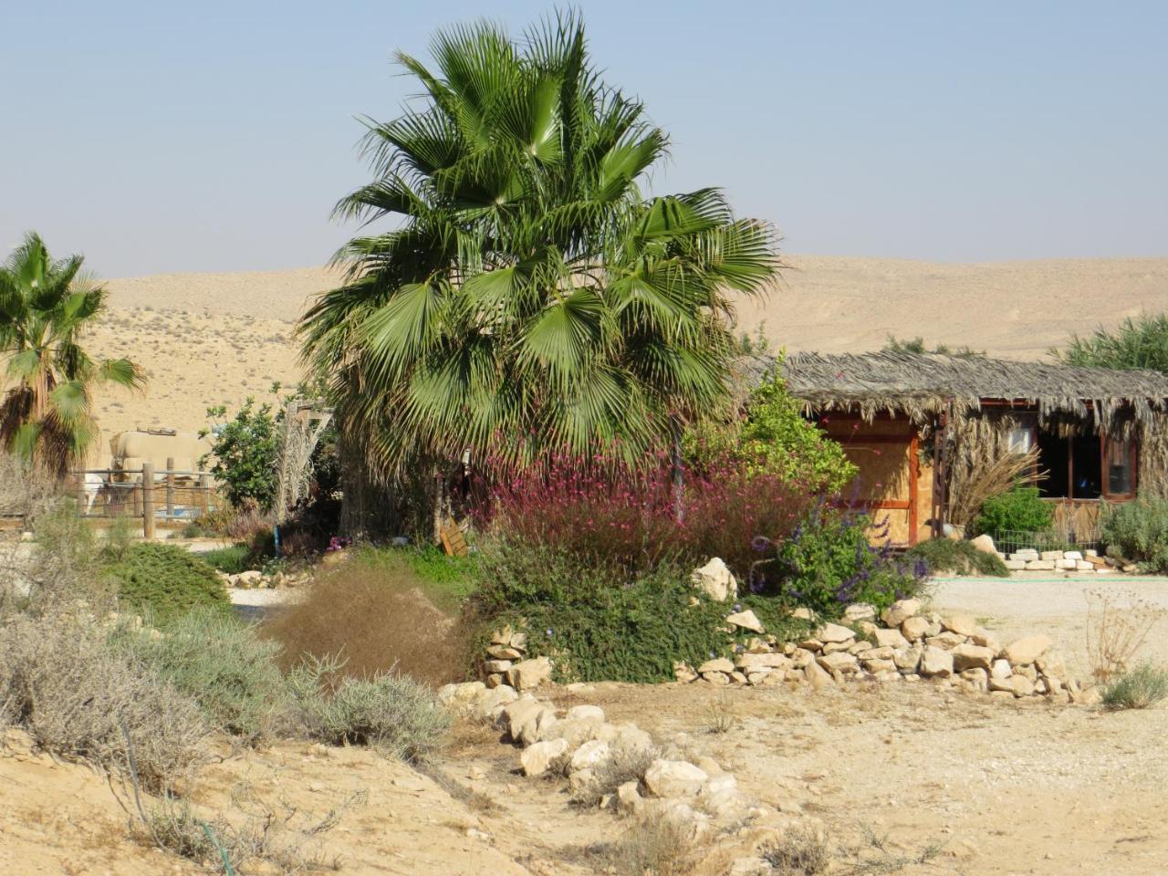 Succah In The Desert Micpe Ramon Zewnętrze zdjęcie