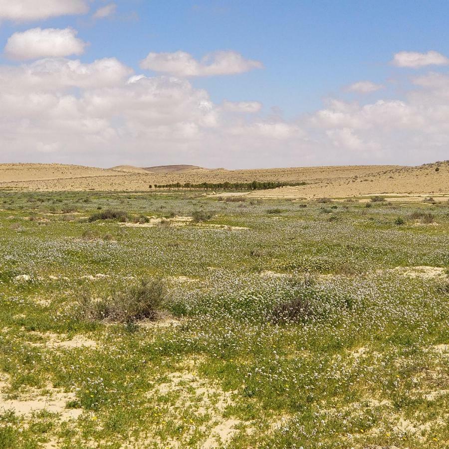 Succah In The Desert Micpe Ramon Zewnętrze zdjęcie